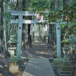 達磨神社