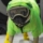 ちょこみんと