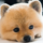こまちゃん